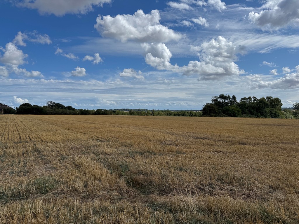 Lot: 61 - APPROXIMATELY FOUR AND A HALF ACRES - View of the land 6